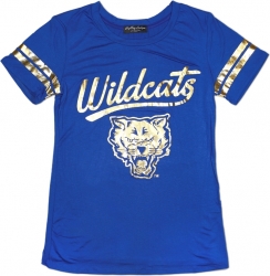 View Buying Options For The Big Boy Fort Valley State Wildcats S2 Ladies Jersey Tee