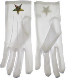 View Buying Options For The Eastern Star Emblem Ladies Ritual Gloves