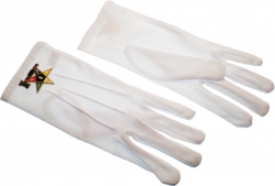 View Buying Options For The Eastern Star Past Matron Emblem Ladies Ritual Gloves
