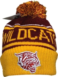 View Buying Options For The Big Boy Bethune-Cookman Wildcats S247 Beanie With Ball
