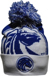 View Buying Options For The Big Boy Fayetteville State Broncos S248 Beanie With Ball