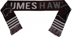 View Buying Options For The Big Boy Maryland Eastern Shore Hawks S2 Scarf