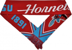 View Buying Options For The Big Boy Delaware State Hornets S3 Knit Scarf