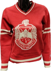 View Buying Options For The Buffalo Dallas Delta Sigma Theta Chenille V-Neck Varsity Sweater