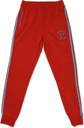 View Buying Options For The Big Boy Delaware State Hornets S2 Mens Jogging Suit Pants
