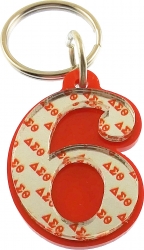 View Buying Options For The Delta Sigma Theta Line #6 Key Chain