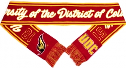View Buying Options For The Big Boy District Of Columbia Firebirds S6 Knit Scarf
