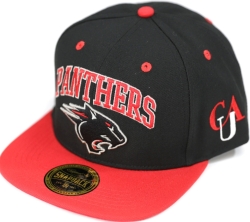 View Buying Options For The Big Boy Clark Atlanta Panthers S144 Mens Snapback Cap