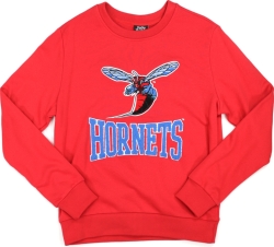 View Buying Options For The Big Boy Delaware State Hornets S4 Mens Sweatshirt