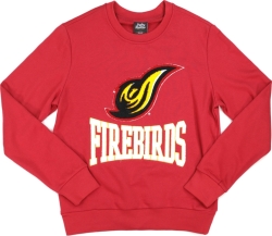 View Buying Options For The Big Boy District Of Columbia Firebirds S4 Mens Sweatshirt