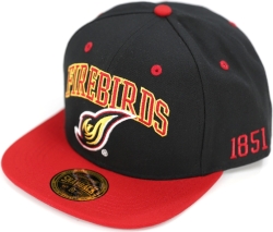 View Buying Options For The Big Boy District Of Columbia Firebirds S144 Mens Snapback Cap