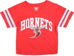 View Buying Options For The Big Boy Delaware State Hornets S4 Foil Cropped Womens Tee