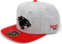 View Buying Options For The Big Boy Clark Atlanta Panthers S142 Mens Snapback Cap