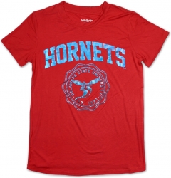 View Buying Options For The Big Boy Delaware State Hornets S3 Ladies Jersey Tee