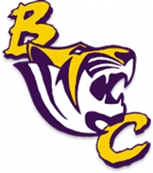 View All Benedict College Tigers Product Listings