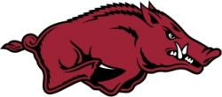 View All University of Arkansas Razorbacks Product Listings