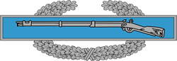 View All Combat Infantryman Badge : CIB Product Listings