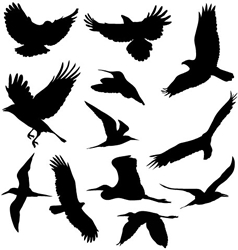View All Birds Product Listings