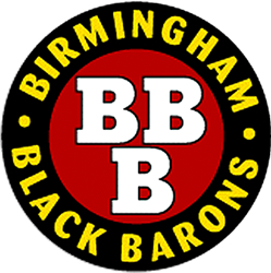 View All Birmingham Black Barons Product Listings