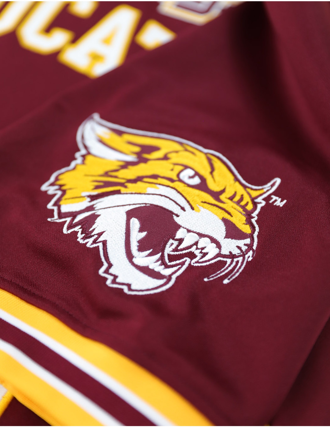 Big Boy Bethune-Cookman Wildcats Fußballtrikot Erwachsene - Bild 5 von 50