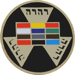 View Buying Options For The Mason Past High Priest Lapel Pin