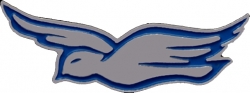 View Buying Options For The Zeta Phi Beta Dove Lapel Pin
