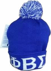 View Buying Options For The Buffalo Dallas Phi Beta Sigma Solid Color Skull Cap