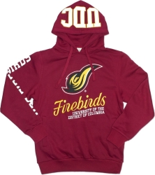 View Buying Options For The Big Boy District of Columbia Firebirds S3 Mens Hoodie