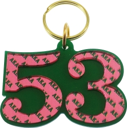 View Buying Options For The Alpha Kappa Alpha Color Mirror Line #53 Keychain