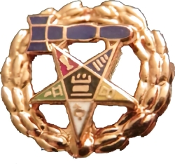 View Buying Options For The Eastern Star Past Matron Pinback Small Lapel Pin