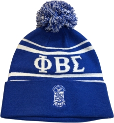 View Buying Options For The Buffalo Dallas Phi Beta Sigma Striped Skull Cap