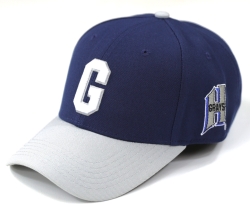 View Buying Options For The Big Boy Homestead Grays S146 Legacy Cap