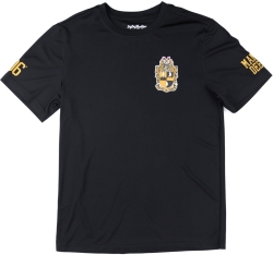 View Buying Options For The Big Boy Alpha Phi Alpha Divine 9 S17 Dry Fit Tee