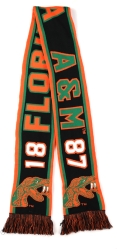 View Buying Options For The Big Boy Florida A&M Rattlers S10 Adult Scarf