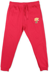 View Buying Options For The Big Boy District Of Columbia Firebirds S3 Mens Sweatpants