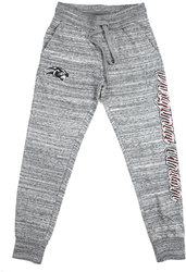 View Buying Options For The Big Boy Virginia Union Panthers S2 Womens Jogger Pants