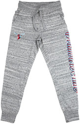View Buying Options For The Big Boy Delaware State Hornets S2 Womens Jogger Pants