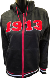 View Buying Options For The Buffalo Dallas Delta Sigma Theta Chenille Zip Hoodie