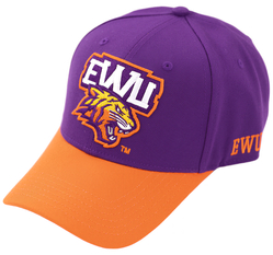 View Buying Options For The Big Boy Headgear Edward Waters Tigers S150 Unisex Adult Ball Cap