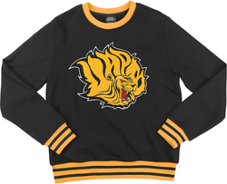 View Buying Options For The Big Boy Headgear Arkansas At Pine Bluff Golden Lions S6 Mens Sweatshirt
