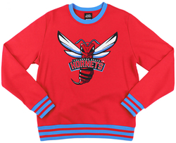 View Buying Options For The Big Boy Headgear Delaware State Hornets S6 Mens Sweatshirt