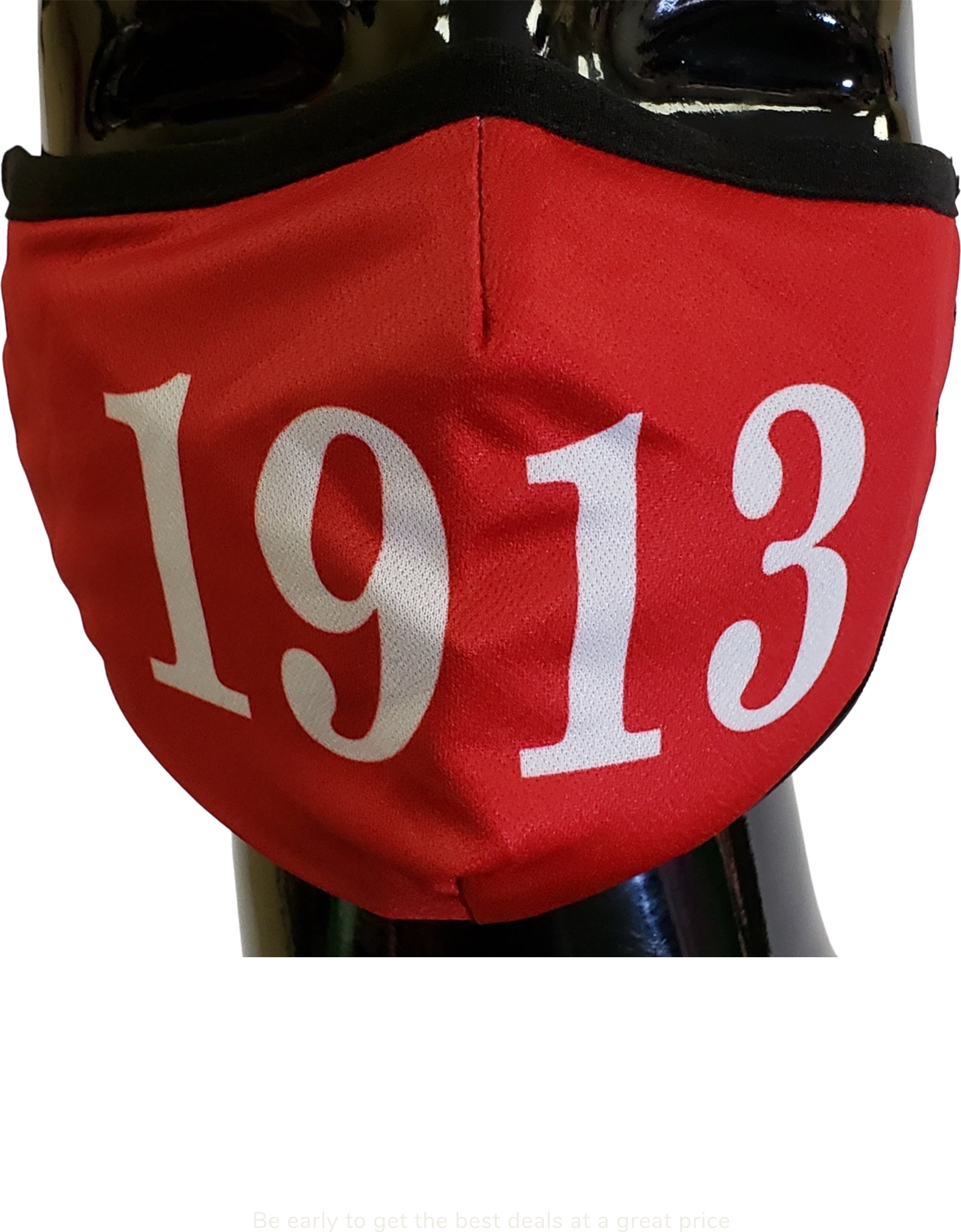 Buffalo Dallas Delta Sigma Theta 1913 Face Mask Red Product Details