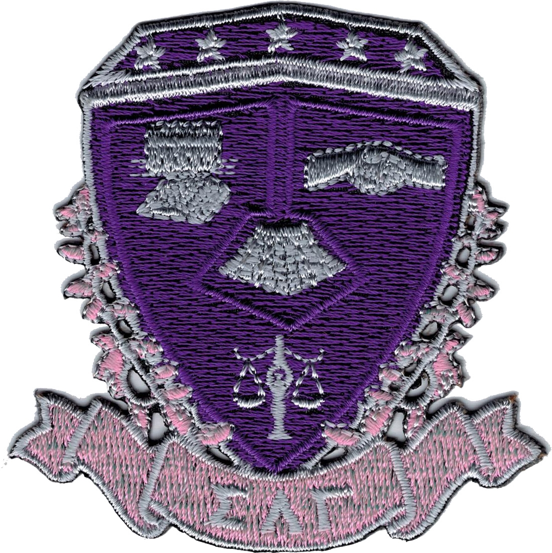 lambda sigma gamma sorority lambda sigma gamma sorority