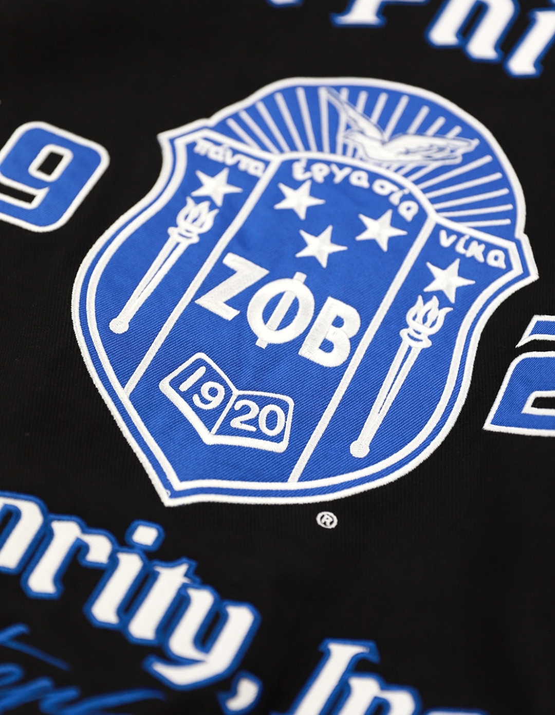 Big Boy Zeta Phi Beta Divine 9 S12 Racing Twill Jacket - Picture 9 of 64