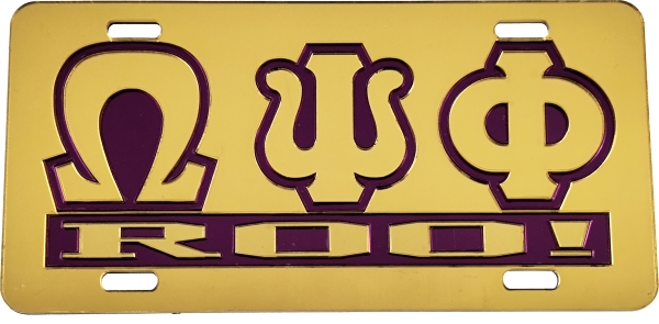 Large Product Image