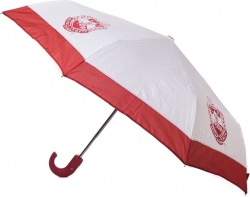 View Buying Options For The Delta Sigma Theta Mini Hurricane Umbrella