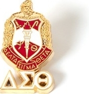 View Product Detials For The Delta Sigma Theta Shield Drop Letter Lapel Pin