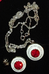 View Buying Options For The Delta Sigma Theta Topaz Stone Signet Lapel Pin And Necklace Set