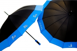 View Buying Options For The Zeta Phi Beta Sorority Classy 14 Panel Jumbo Umbrella