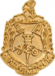 View Buying Options For The Delta Sigma Theta Sandblast Crest Lapel Pin